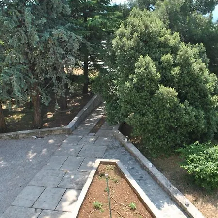 Rozica * Rijeka
